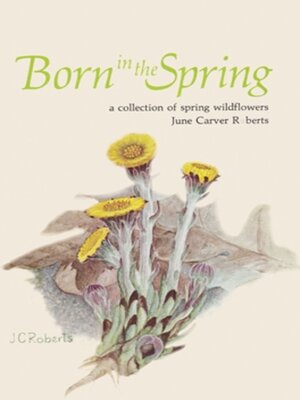 cover image of Born in the Spring